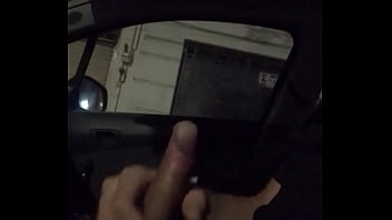 Preview 1 of Wwwforest Fucking Khasi Com - En el Carro (3)