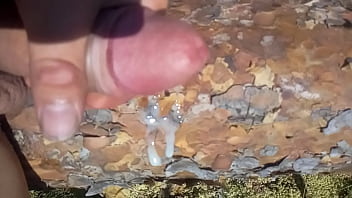 Preview 3 of Searchmami Horss - Masturbation in forest