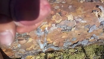 Preview 4 of Searchmami Horss - Masturbation in forest