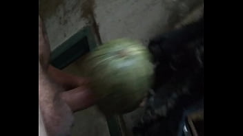 Preview 2 of 77 Tube - pumpkin fuck