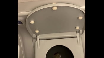 Preview 4 of Koxshskeg - pee to the toilet on the plane