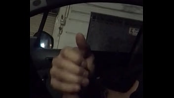 Preview 1 of Dog One Day - En el carro (2)