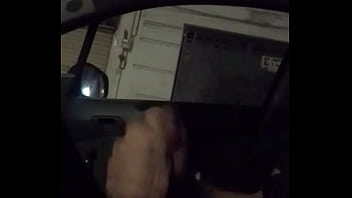 Preview 4 of Dog One Day - En el carro (2)