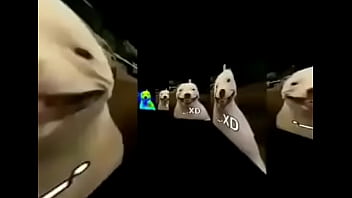 Preview 2 of Www Xxx Viado Com Pj - Grande boquita