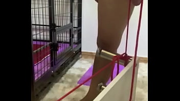 Preview 3 of Xxx Dog Boy Sex Hd Video - 杭州凌薇S 虐阳踩踏 推特见描述