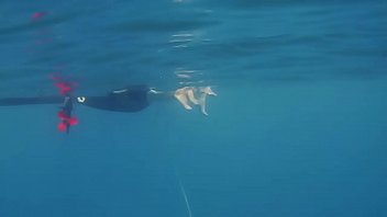 Preview 1 of Nishikun Chodai Video - Girls on Tenerife underwater lesbians