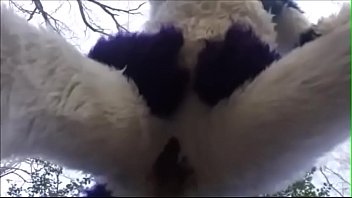 Preview 4 of 3 Video Xxx - Fursuit Couple Mating in Woods