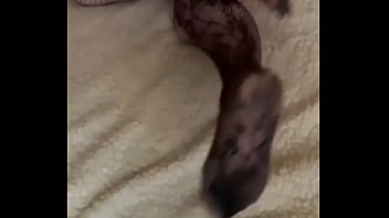Preview 2 of Pussy Squirting - I was woken up with cum on my sexy ass KlaudiaAmberGirl