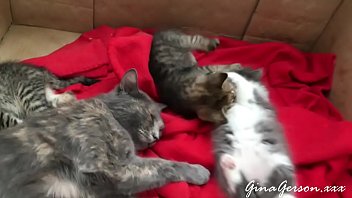 Preview 4 of 16 Years Bf Sex Video Foreign - In Siberia