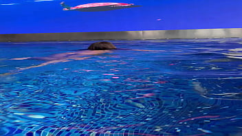 Preview 1 of Sixi Full Video - Monika Fox In Purple Bikini Swims In Pool &amp_ Poses By Window Against Background Of City (Free)