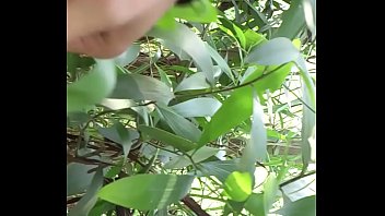 Preview 1 of Honry Girl Playing With Animals - Thu ngay ben duong