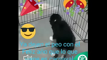 Preview 2 of 2018 Porn Gh Xxxpornhg - V&iacute_deo de verificaci&oacute_n
