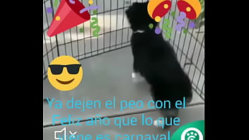 Preview 3 of 2018 Porn Gh Xxxpornhg - V&iacute_deo de verificaci&oacute_n