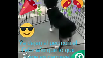 Preview 1 of 2018 Porn Gh Xxxpornhg - V&iacute_deo de verificaci&oacute_n
