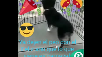 Preview 4 of 2018 Porn Gh Xxxpornhg - V&iacute_deo de verificaci&oacute_n