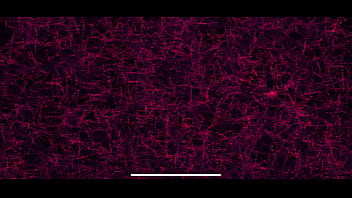 Preview 3 of Arthur Nory Mariano Scndal - Verification video