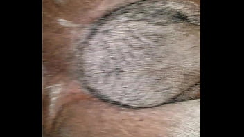 Preview 4 of Sister Sleeping Xxx Sexy Video - Bareback fucking clean ass