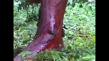 Preview 3 of Porno Albania - Verification video