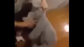 Preview 3 of Thai Adult Movies - WOS  FOLLANDO CON ELEFANTE (100% HOT)
