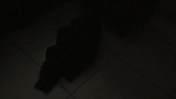 Preview 4 of Gselle Palmer - V&iacute_deo de verificaci&oacute_n