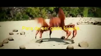 Preview 3 of Priti Janta - Caranguejos dan&ccedil_ando