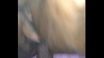 Preview 2 of Ngulum Crot Dimulut - Scorpio  &amp_ Leo Getting It In