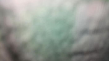 Preview 1 of W X W W Xw0w - Todo
