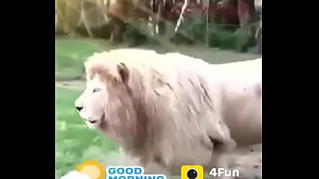 Preview 2 of Animal Potty Eating - Verification video