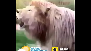 Preview 3 of Animal Potty Eating - Verification video