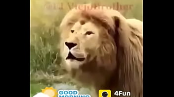 Preview 4 of Animal Potty Eating - Verification video
