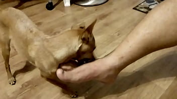 Preview 4 of 2018 Pak Xxx Video - V&iacute_deo de verifica&ccedil_&atilde_o
