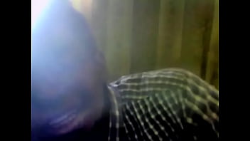 Preview 4 of Bokep Kerajaan Yunani - Verification video