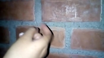 Preview 4 of Dise Parya - V&iacute_deo de verificaci&oacute_n