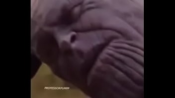 Preview 3 of Xxl Seks - Jake Paul