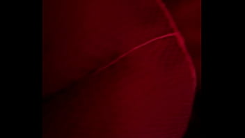 Preview 2 of Sanny Lebanon Sex Videos Full Hd - Verification video