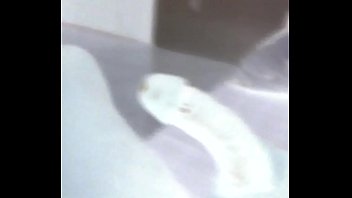 Preview 2 of Black Boy Girl Xx - Verification video