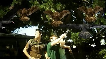 Preview 3 of Japanese Lesbian Sex Toy - C&uacute_-lt podcast - Birdemic: shock and terror (2010)