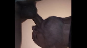 Preview 3 of Sepa Xxx - Verification video