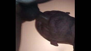 Preview 4 of Sepa Xxx - Verification video