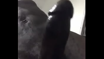 Preview 3 of Swingers And Swapperss - Verification video