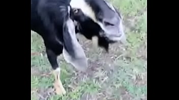 Preview 2 of Pak Xxnx Punjabi - Verification video