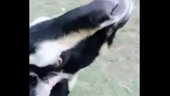 Preview 4 of Pak Xxnx Punjabi - Verification video