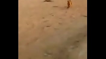 Preview 2 of Xxx77 - Argentina desnuda en la playa y perro le roba la tanga 2