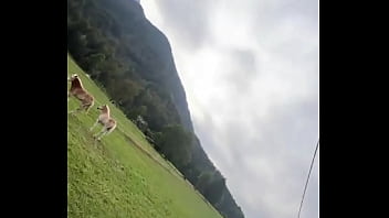 Preview 4 of Xxx Porn Side Full Hd Videos - Dancing next to some beautiful horses outdoors ??What&#039_s your favorite way to connect with nature?#Dancing #Outd...