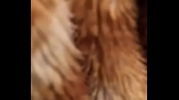 Preview 4 of High Speed On Dogy Style - Una jaladita de pene