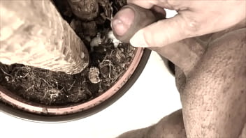 Preview 2 of Alil Haze - sperm fertilizer