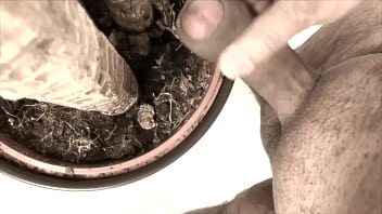 Preview 1 of Alil Haze - sperm fertilizer