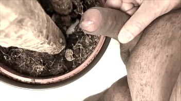Preview 4 of Alil Haze - sperm fertilizer