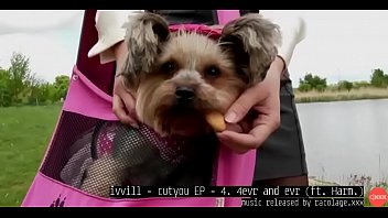 Preview 1 of Tube Porn Jav Tura - hot femdom pussylicked by male slut music by ivvill