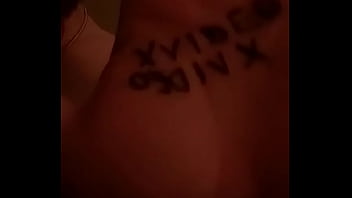 Preview 3 of Animol Action - Verification video